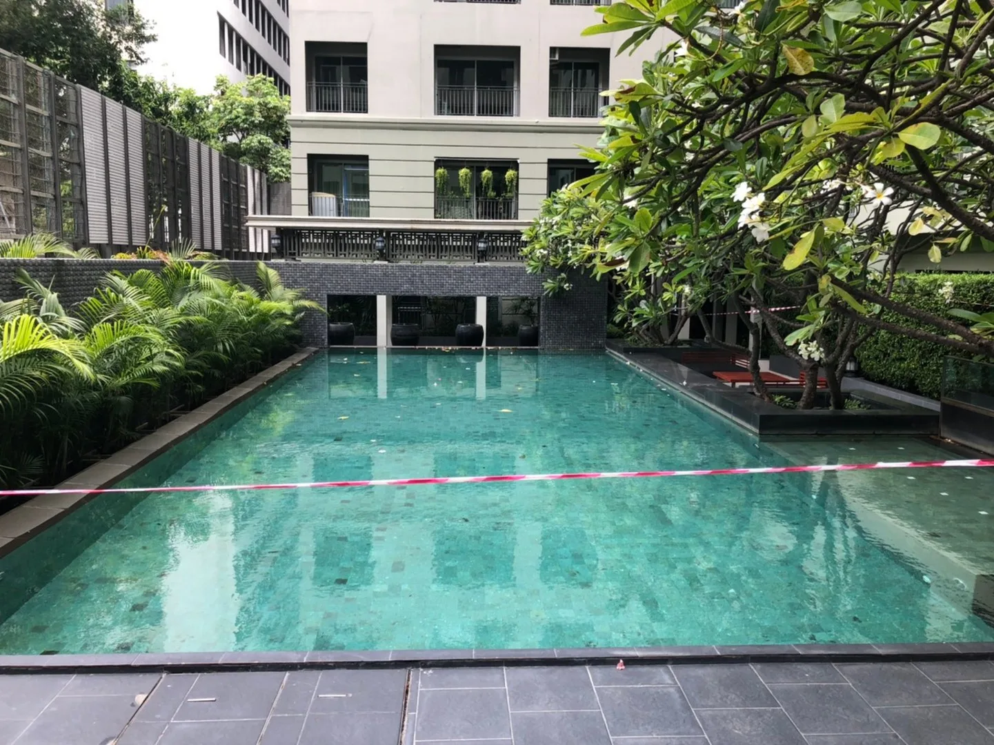 The Seed Memories Siam — photo 15