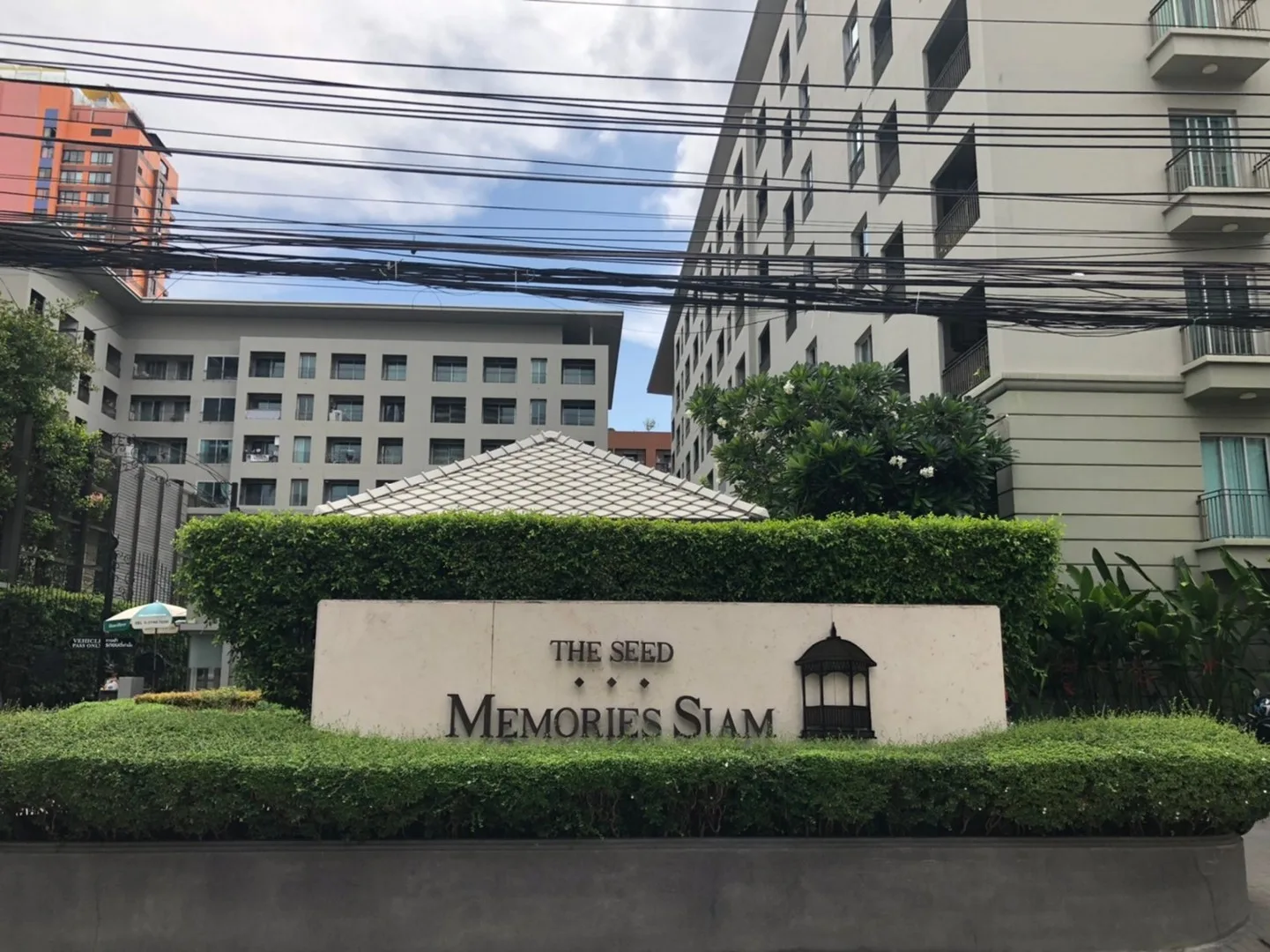 The Seed Memories Siam — photo 7