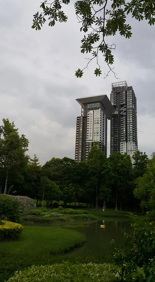 Star View — photo 10