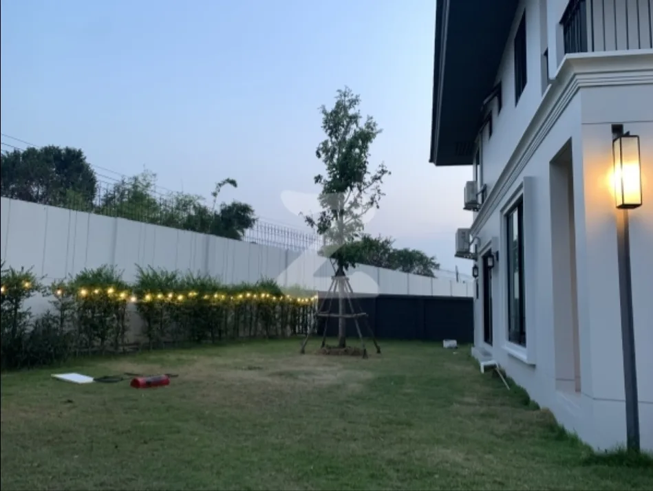 Setthasiri Pattanakarn — photo 3