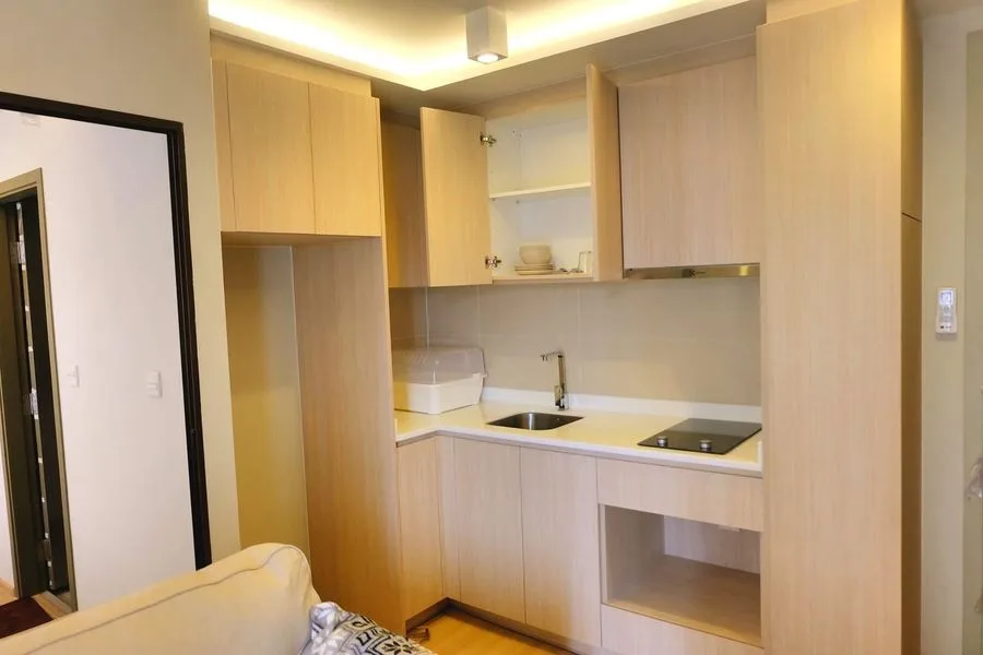 Maestro 12 — photo 6