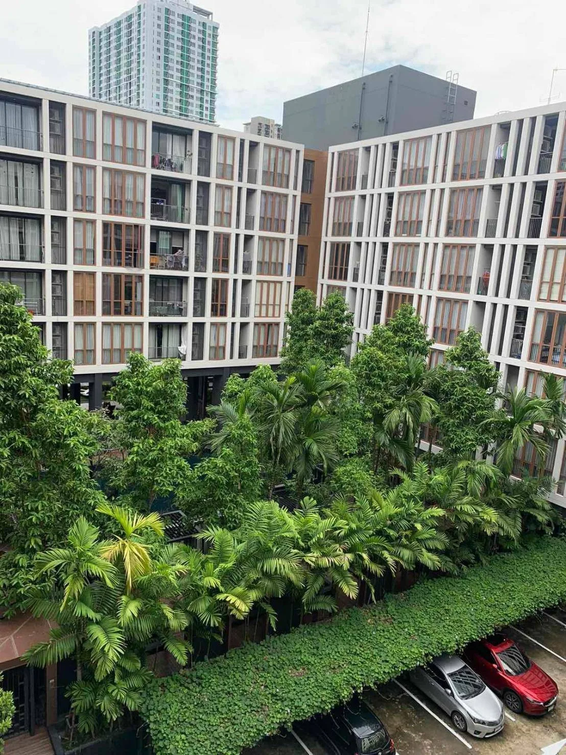 Hasu Haus — photo 7