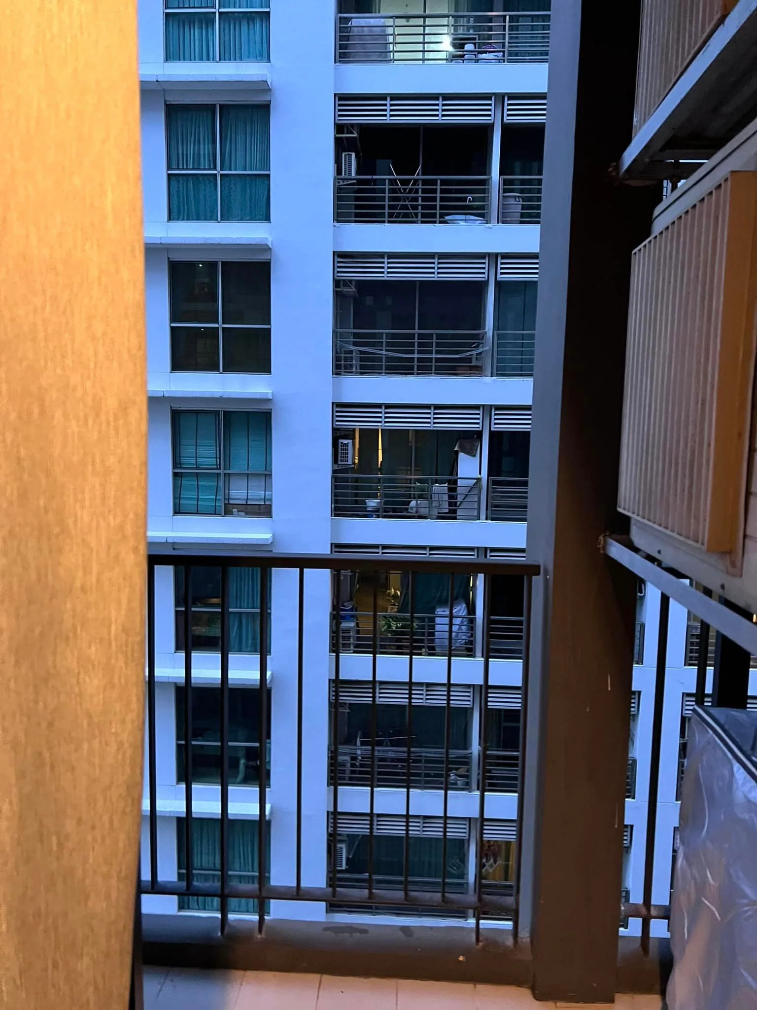 The Vertical Aree — photo 11