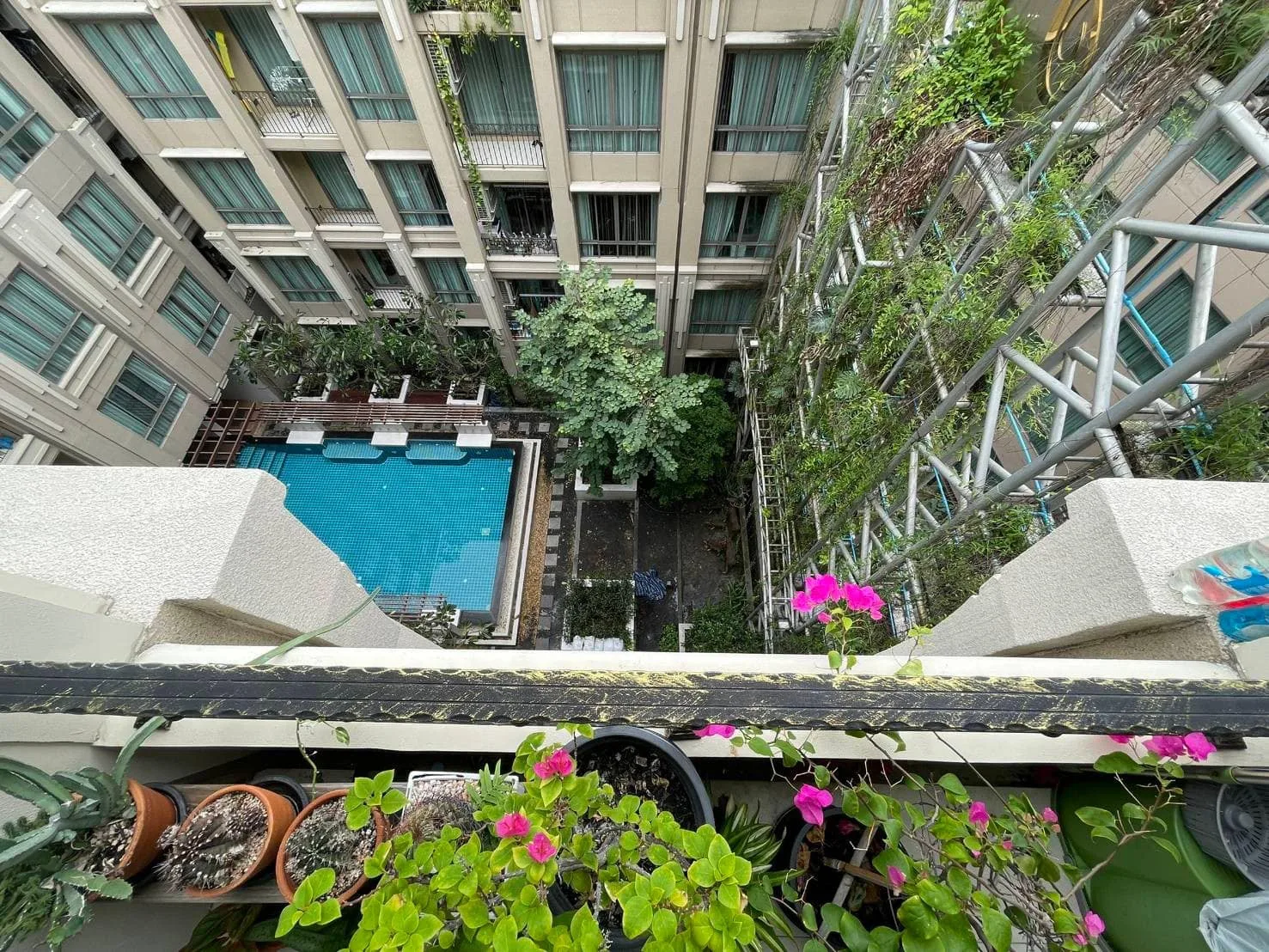 Amaranta Residence — photo 12