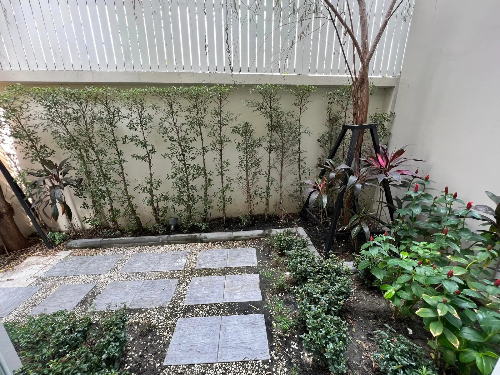Welton University, Rama 3 — photo 17