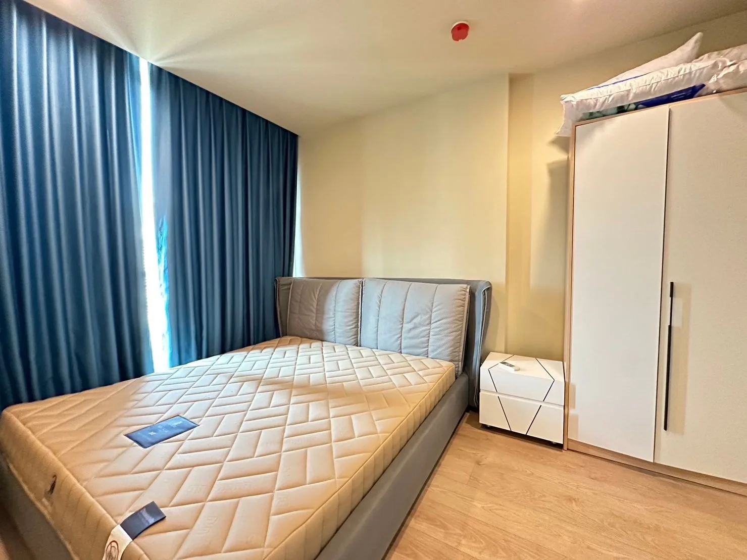Noble Recole — photo 5
