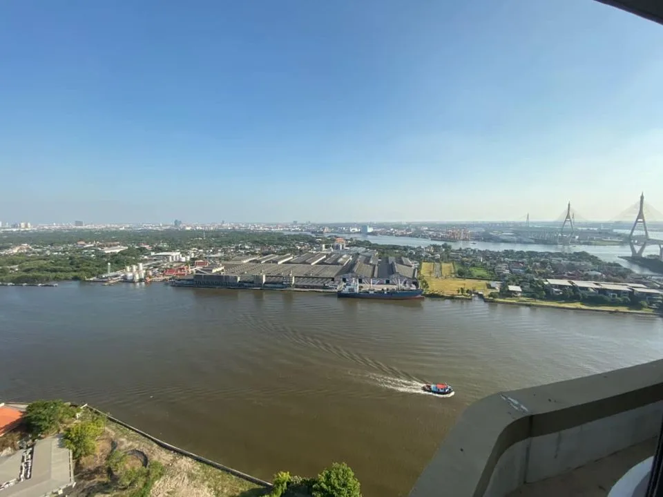 The Pano — photo 6