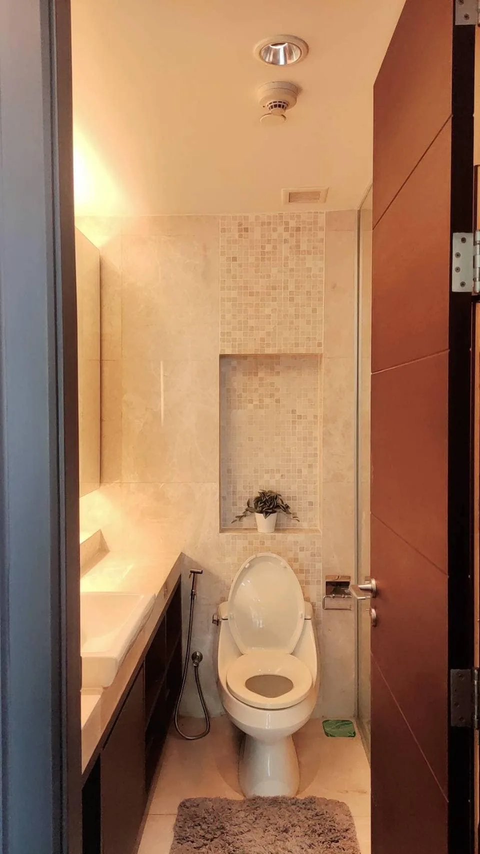 Oriental Residence — photo 7