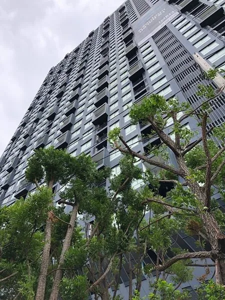 Ideo Sukhumvit 93 — photo 7