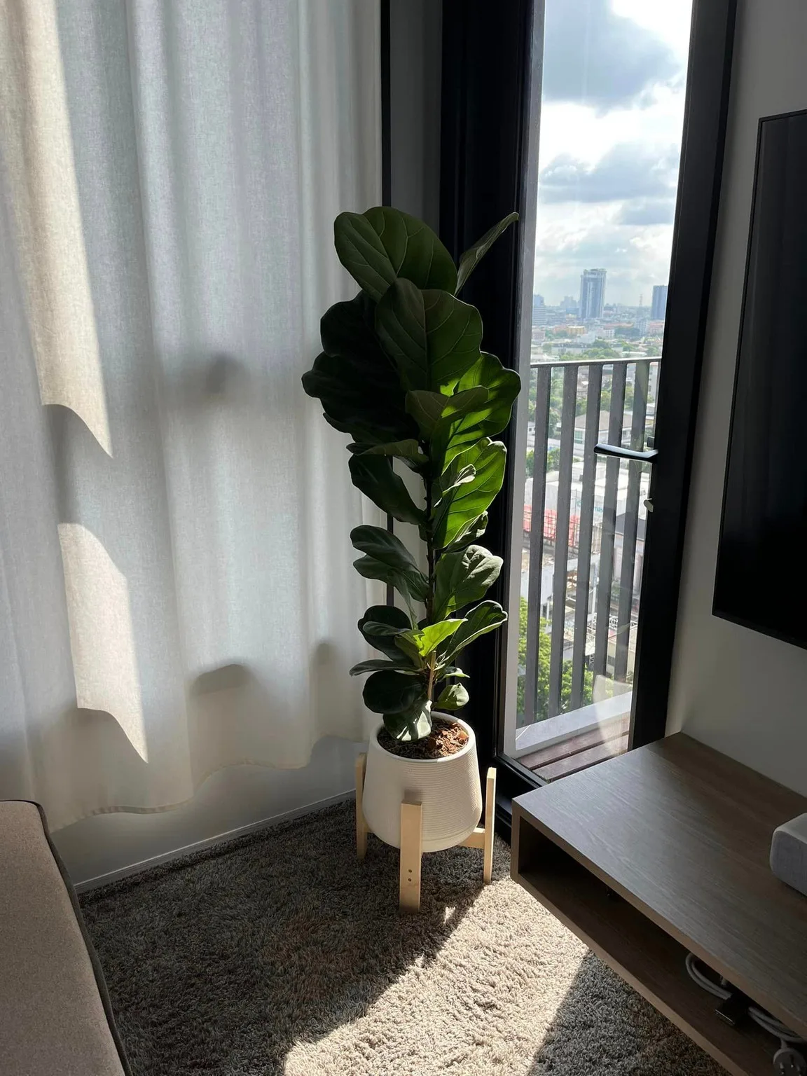 XT Ekkamai — photo 3
